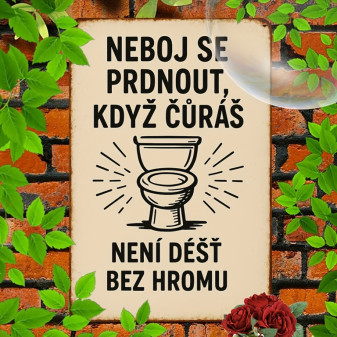 Tabule plechová, pocínovaná 20.32*30.48cm s vtipným nápisem
