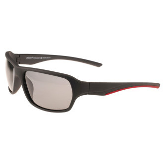 Brýle sluneční Sport/Z505DP/P